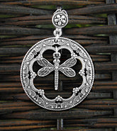Dangling Dragonfly in Fancy Retro Old-Timey Frame Pendant | Woot & Hammy